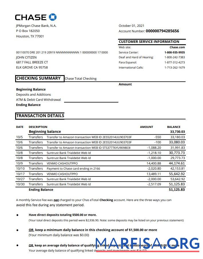 Downloadable USA Chase account statement excel real example